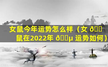 女鼠今年运势怎么样（女 🐠 鼠在2022年 🌵 运势如何）